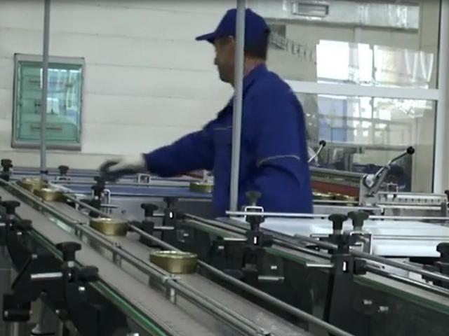 Транспортер пластинчатый (Универсальный) в Шелковской
