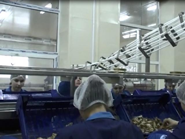 Гравитационная направляющая для пустой жестяной тары в Шелковской